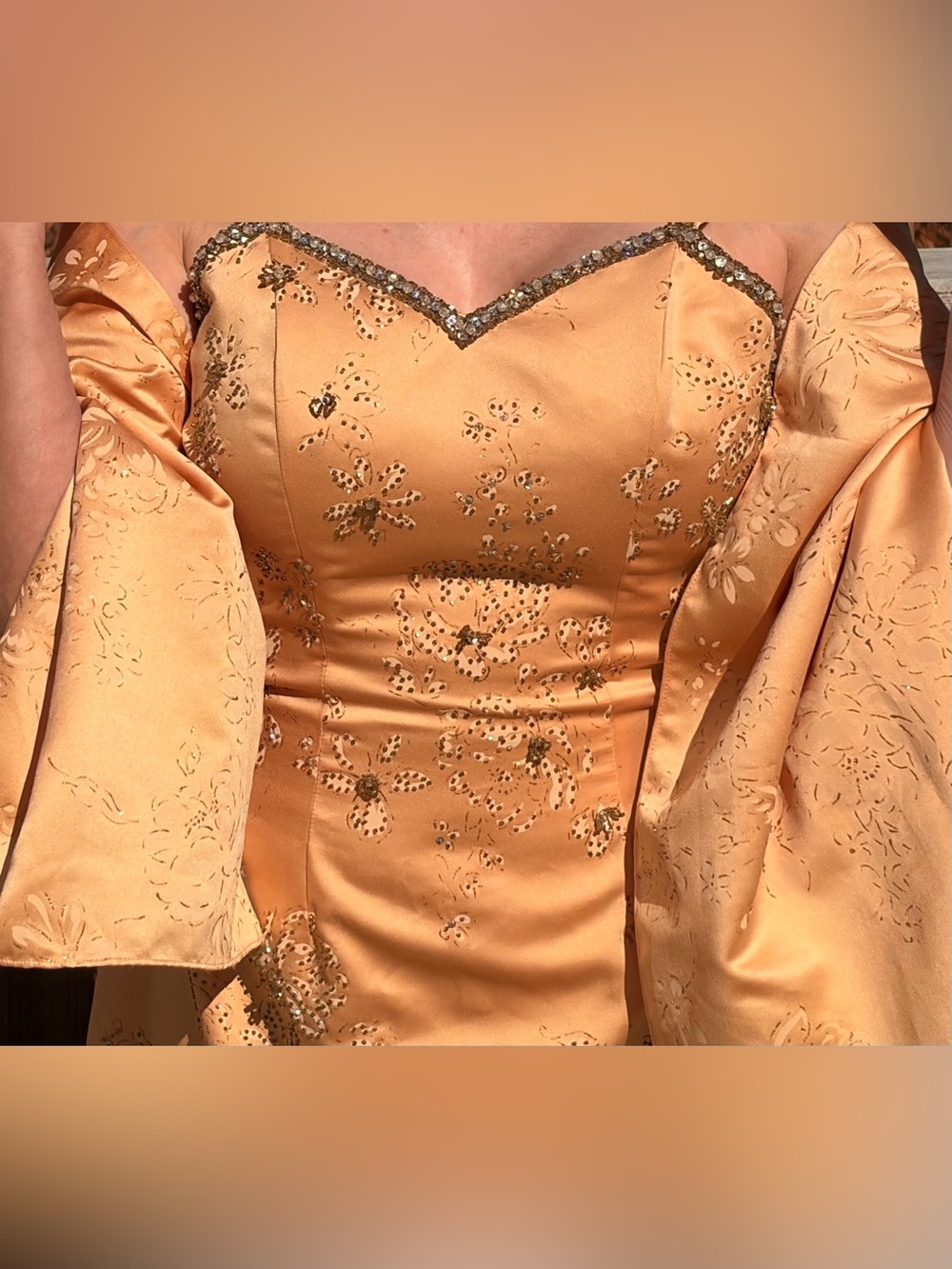 Blush Fairytale Ballgown Purchased at Hall’s of Kansas City